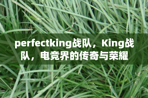 perfectking战队,King战队,电竞界的传奇与荣耀 perfectking战队,King战队,电竞界的传奇与荣耀