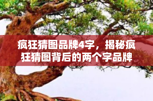 疯狂猜图品牌4字，揭秘疯狂猜图背后的两个字品牌