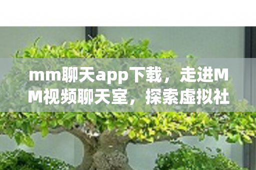 mm聊天app下载，走进MM视频聊天室，探索虚拟社交的新世界