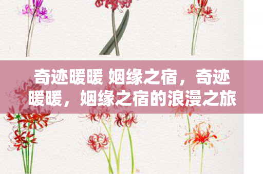 奇迹暖暖 姻缘之宿，奇迹暖暖，姻缘之宿的浪漫之旅