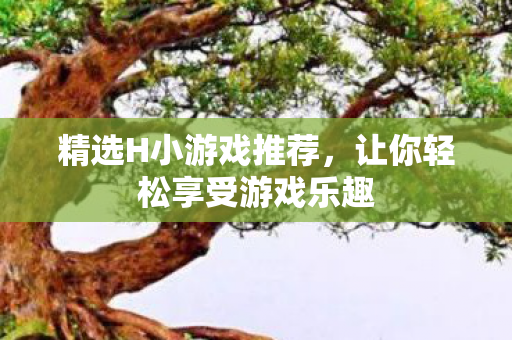 精选H小游戏推荐，让你轻松享受游戏乐趣