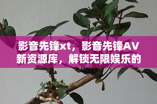 影音先锋xt，影音先锋AV新资源库，解锁无限娱乐的钥匙