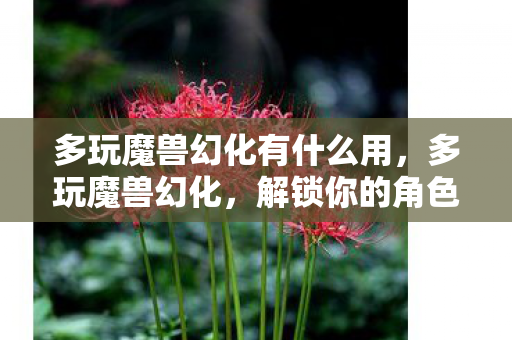 多玩魔兽幻化有什么用，多玩魔兽幻化，解锁你的角色新面貌