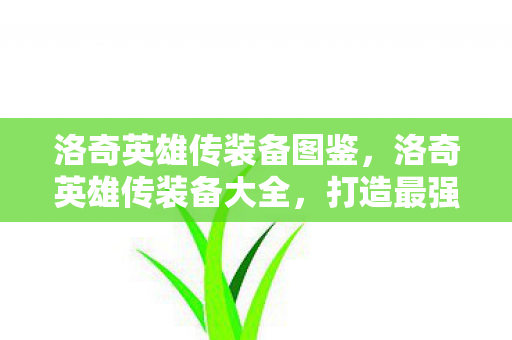 洛奇英雄传装备图鉴，洛奇英雄传装备大全，打造最强战斗力的必备指南