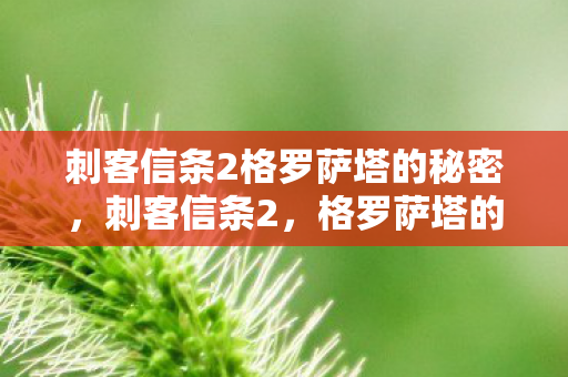 刺客信条2格罗萨塔的秘密，刺客信条2，格罗萨塔的阴影
