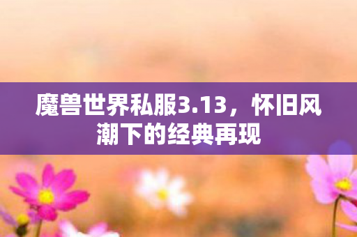 魔兽世界私服3.13，怀旧风潮下的经典再现