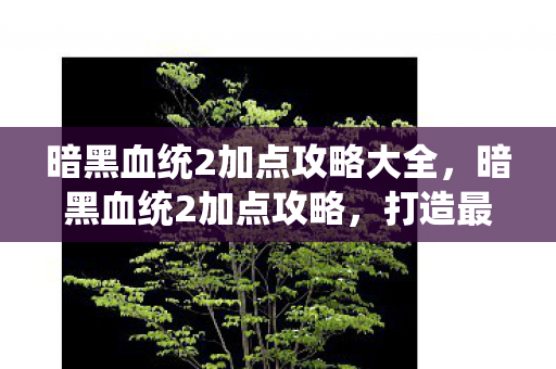 暗黑血统2加点攻略大全，暗黑血统2加点攻略，打造最强战士的秘诀