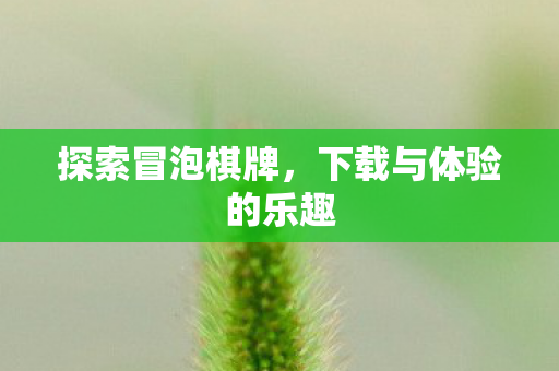 探索冒泡棋牌，下载与体验的乐趣