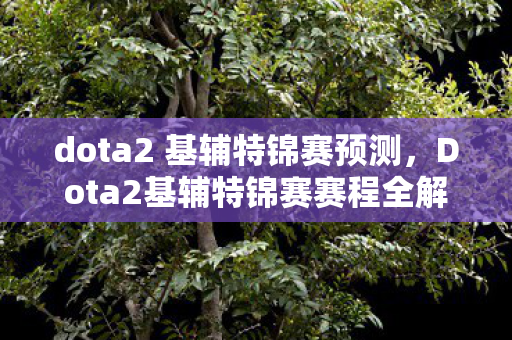 dota2 基辅特锦赛预测，Dota2基辅特锦赛赛程全解析，战火燃起，谁将问鼎荣耀？