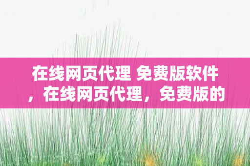 在线网页代理 免费版软件，在线网页代理，免费版的使用与注意事项