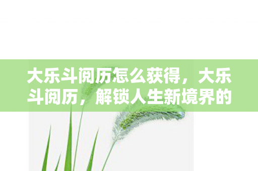 大乐斗阅历怎么获得，大乐斗阅历，解锁人生新境界的钥匙