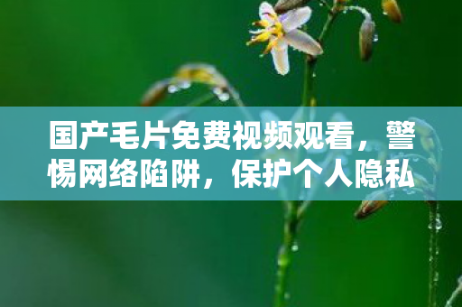 国产毛片免费视频观看,警惕网络陷阱,保护个人隐私 国产毛片免费视频观看,警惕网络陷阱,保护个人隐私