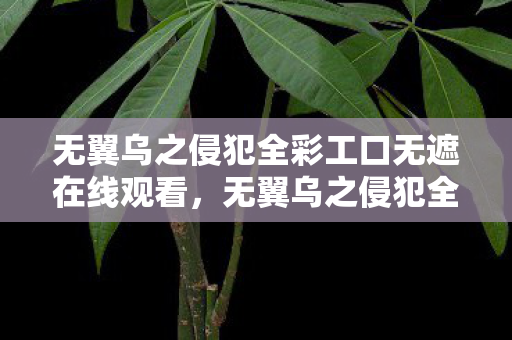 无翼乌之侵犯全彩工口无遮在线观看，无翼乌之侵犯全彩工口，揭开神秘面纱的禁忌之旅