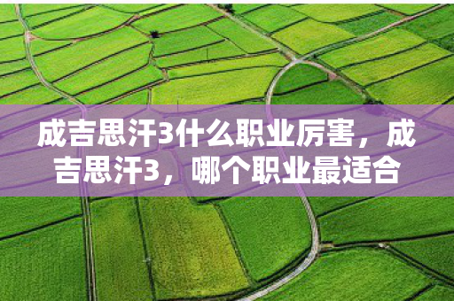 成吉思汗3什么职业厉害,成吉思汗3,哪个职业最适合你? 成吉思汗3什么职业厉害,成吉思汗3,哪个职业最适合你?