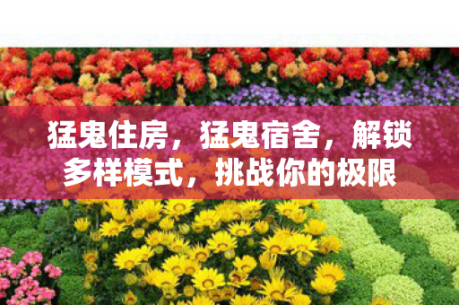 猛鬼住房，猛鬼宿舍，解锁多样模式，挑战你的极限