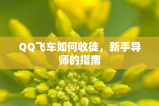 QQ飞车如何收徒，新手导师的指南