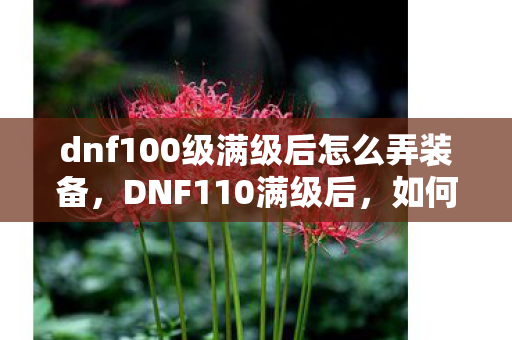 dnf100级满级后怎么弄装备，DNF110满级后，如何高效刷装备？