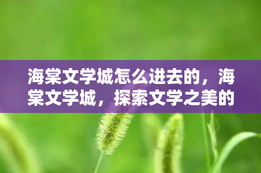 海棠文学城怎么进去的，海棠文学城，探索文学之美的神秘入口