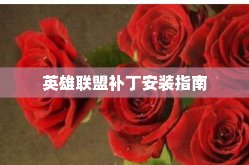 英雄联盟补丁安装指南