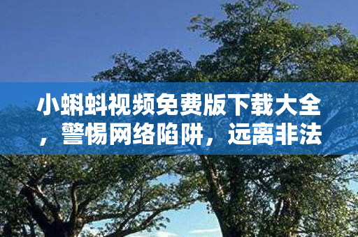 小蝌蚪视频免费版下载大全，警惕网络陷阱，远离非法视频资源