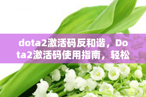 dota2激活码反和谐，Dota2激活码使用指南，轻松解锁游戏之旅