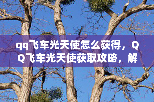 qq飞车光天使怎么获得，QQ飞车光天使获取攻略，解锁闪耀羽翼的秘诀