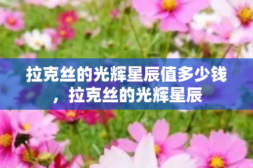 拉克丝的光辉星辰值多少钱，拉克丝的光辉星辰