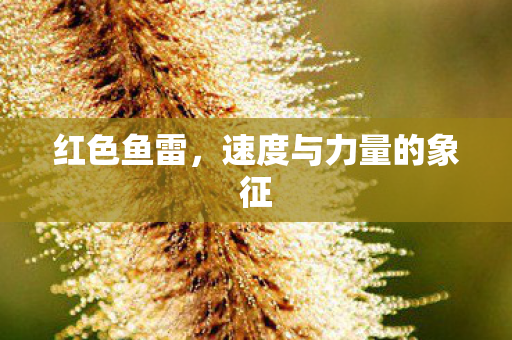 红色鱼雷,速度与力量的象征 红色鱼雷,速度与力量的象征