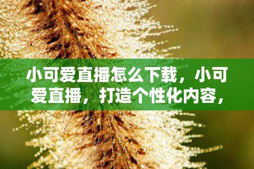 小可爱直播怎么下载，小可爱直播，打造个性化内容，连接粉丝的桥梁