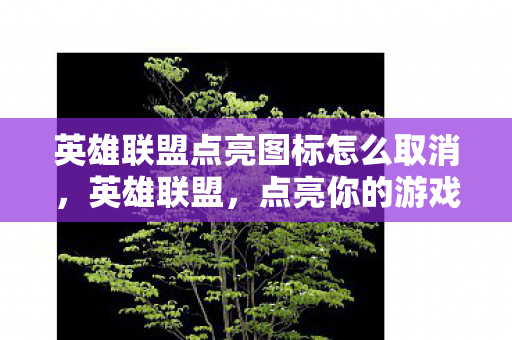 英雄联盟点亮图标怎么取消，英雄联盟，点亮你的游戏图标，展现独特个性