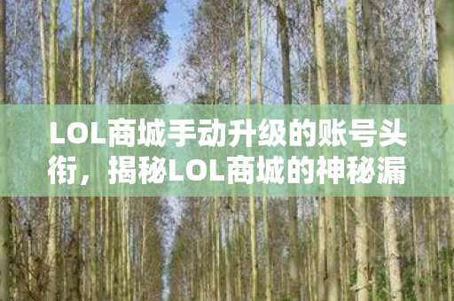LOL商城手动升级的账号头衔，揭秘LOL商城的神秘漏洞，一场意外的发现之旅