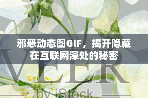 邪恶动态图GIF，揭开隐藏在互联网深处的秘密