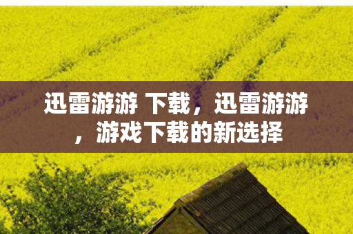 迅雷游游 下载，迅雷游游，游戏下载的新选择