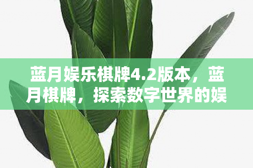 蓝月娱乐棋牌4.2版本，蓝月棋牌，探索数字世界的娱乐新境界