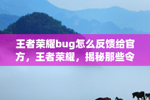 王者荣耀bug怎么反馈给官方，王者荣耀，揭秘那些令人头疼的BUG