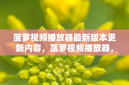 菠萝视频播放器最新版本更新内容，菠萝视频播放器，打造个性化观影体验