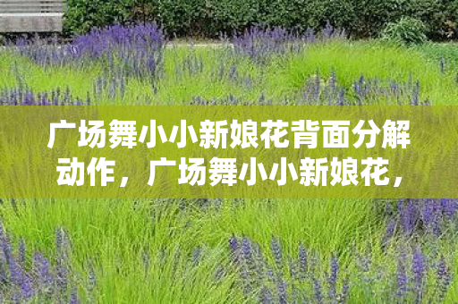 广场舞小小新娘花背面分解动作，广场舞小小新娘花，绽放的不仅是舞蹈，更是生活的热情