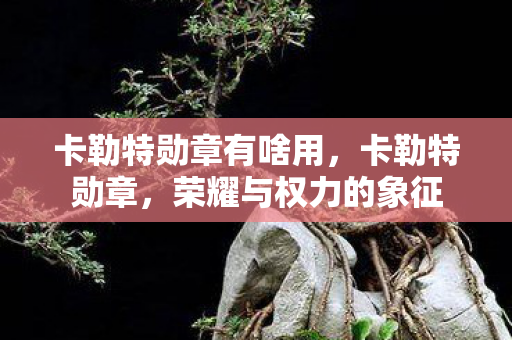 卡勒特勋章有啥用，卡勒特勋章，荣耀与权力的象征