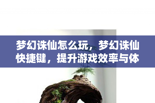 梦幻诛仙怎么玩，梦幻诛仙快捷键，提升游戏效率与体验的关键