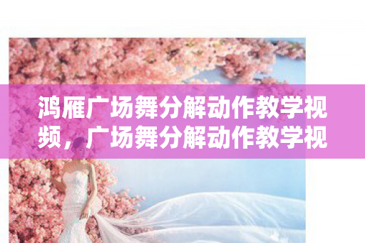 鸿雁广场舞分解动作教学视频,广场舞分解动作教学视频,轻松掌握舞蹈精髓 鸿雁广场舞分解动作教学视频,广场舞分解动作教学视频,轻松掌握舞蹈精髓