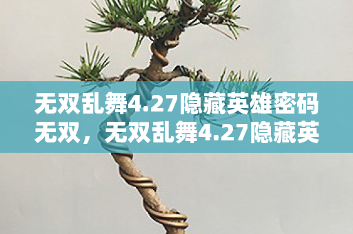 无双乱舞4.27隐藏英雄密码无双，无双乱舞4.27隐藏英雄密码揭秘