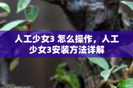 人工少女3 怎么操作，人工少女3安装方法详解