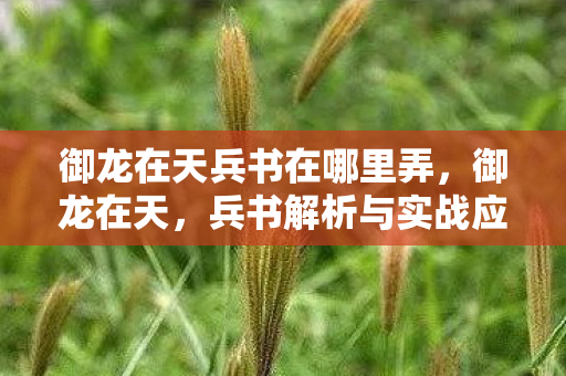 御龙在天兵书在哪里弄,御龙在天,兵书解析与实战应用 御龙在天兵书在哪里弄,御龙在天,兵书解析与实战应用