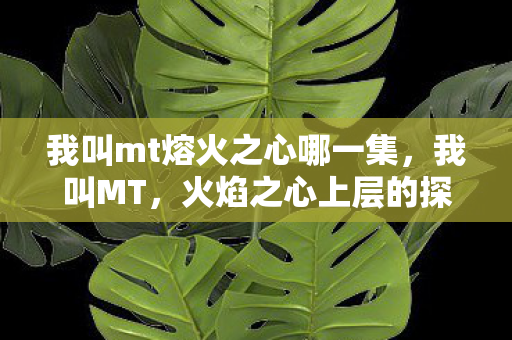 我叫mt熔火之心哪一集,我叫MT,火焰之心上层的探险之旅 我叫mt熔火之心哪一集,我叫MT,火焰之心上层的探险之旅