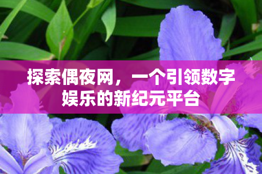 探索偶夜网，一个引领数字娱乐的新纪元平台