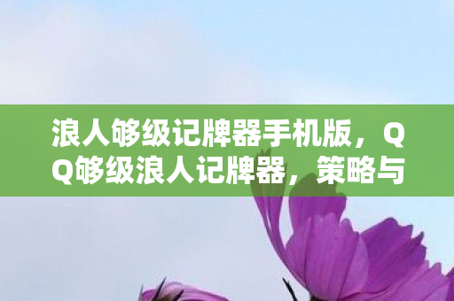 浪人够级记牌器手机版,QQ够级浪人记牌器,策略与智慧的碰撞 浪人够级记牌器手机版,QQ够级浪人记牌器,策略与智慧的碰撞