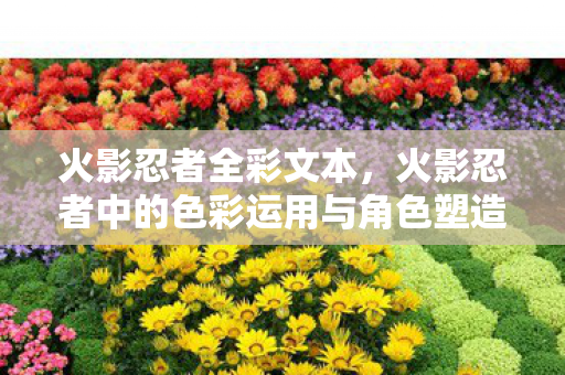 火影忍者全彩文本，火影忍者中的色彩运用与角色塑造