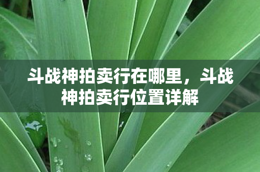 斗战神拍卖行在哪里,斗战神拍卖行位置详解 斗战神拍卖行在哪里,斗战神拍卖行位置详解