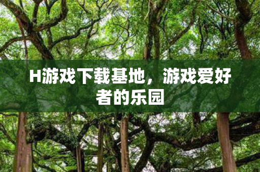 H游戏下载基地，游戏爱好者的乐园