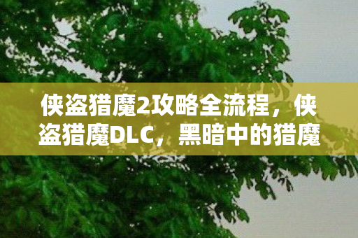 侠盗猎魔2攻略全流程，侠盗猎魔DLC，黑暗中的猎魔之旅